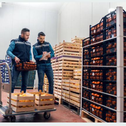 Verse groenten en fruit in het magazijn
